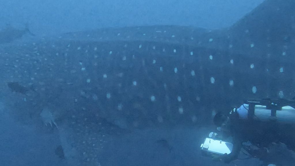 e137f653-00d0-4908-9834-6581f46b97b3