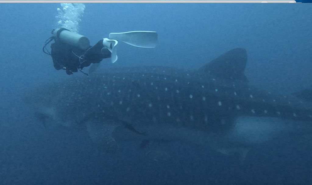 e137f653-00d0-4908-9834-6581f46b97b3