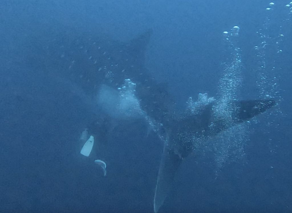 e137f653-00d0-4908-9834-6581f46b97b3