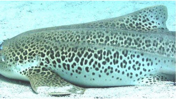 957e8909-c5c8-42dc-8295-c08f74da7104