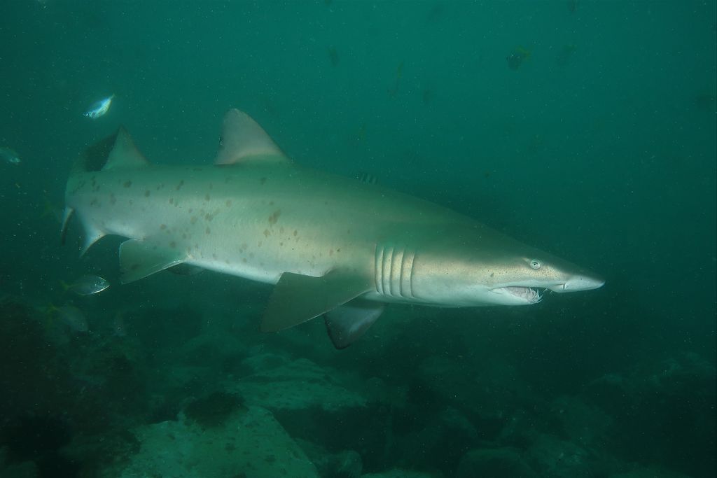 62de430c-1b87-40ba-ab72-80439fa58196