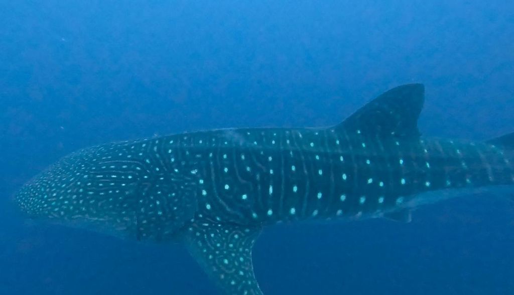 cd6b9fe3-771b-442d-bd7d-c94f8e6cb4df