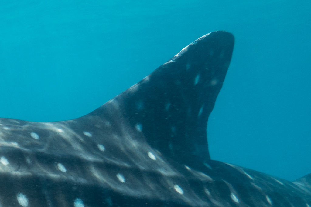 450e8760-1193-4cf2-9040-a7c7c2ff80c6