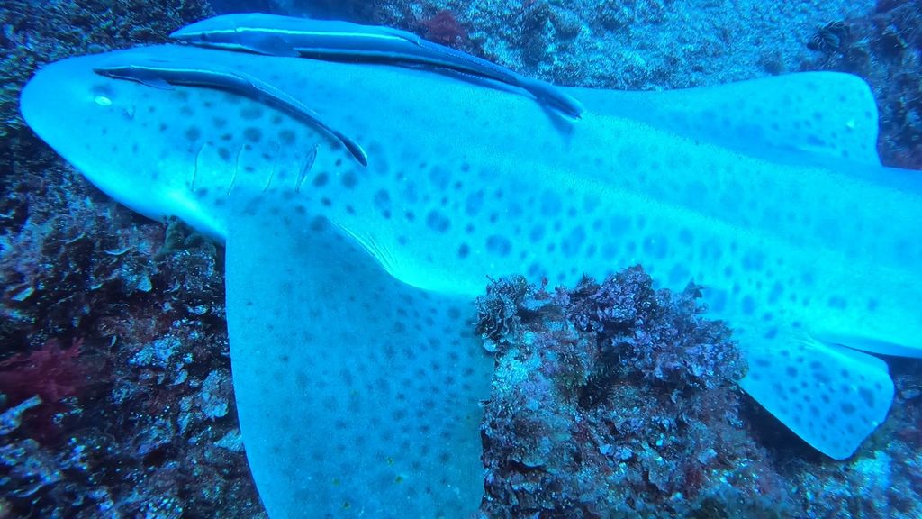 3c392ea8-9328-4a40-922e-5ee2bb19675c