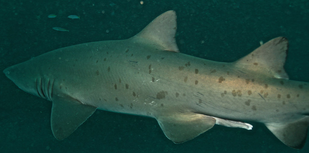 74006316-7bed-4b32-86f7-bc2e05a70c57