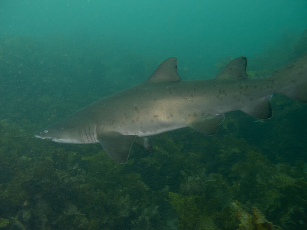 319b7026-8634-4443-889e-b721caa9c486