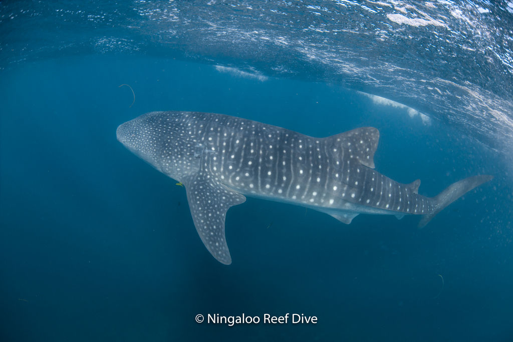 2cb04693-ef7a-4575-8b8b-8437e4658130