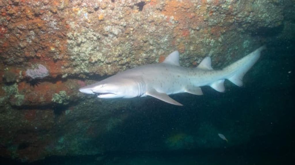 2ca42988-b073-449b-b7d4-67d61ec4f002