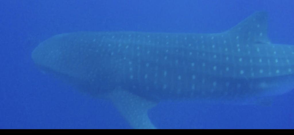 99d18d3d-7dd3-4b32-bdde-f488b9a83b9e