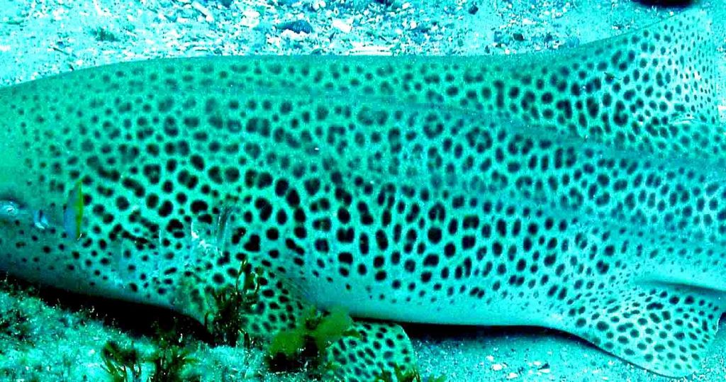 dcab9989-50c0-4b9a-b46e-04971d93b66e