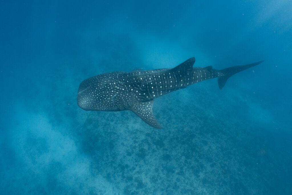 0ccce7fd-4571-47e7-abdb-0e42e47d997a