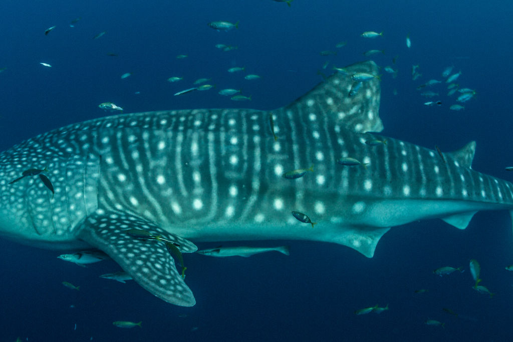 c3f3be15-6965-4269-b181-997da3002613