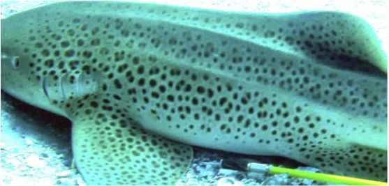 b5d582d6-13cf-4064-89eb-e15f2f05cf5d