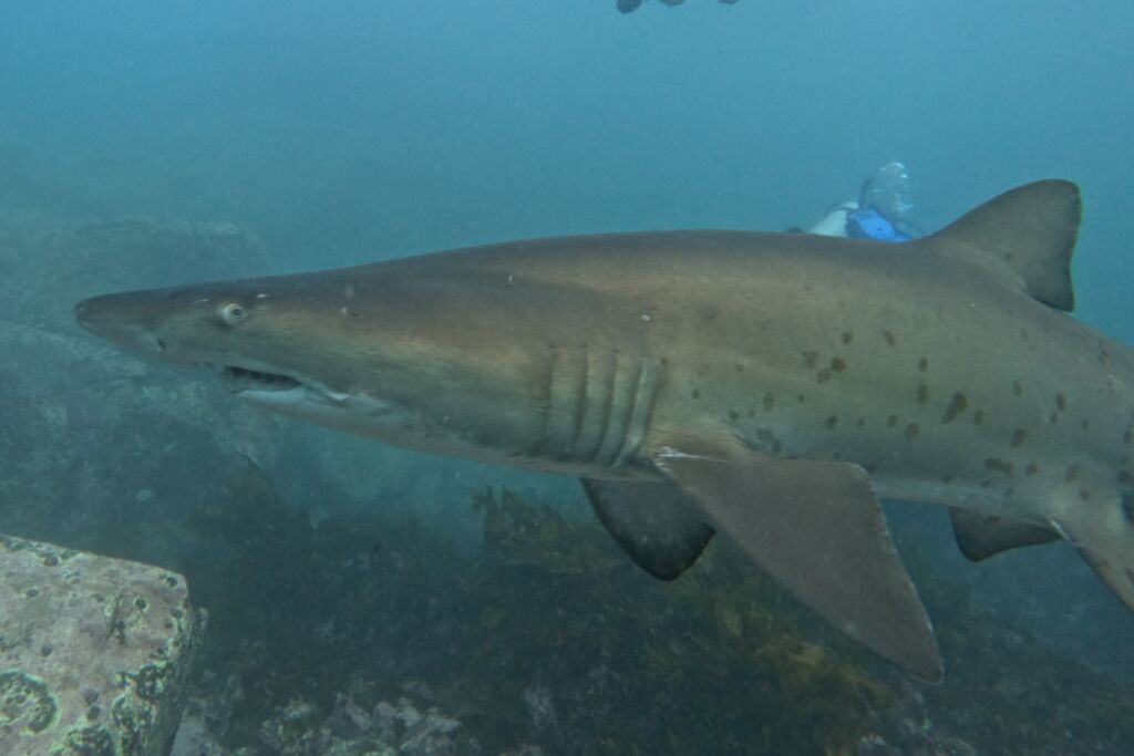 c89e8605-6eb1-4479-a16d-7058a49caa9f