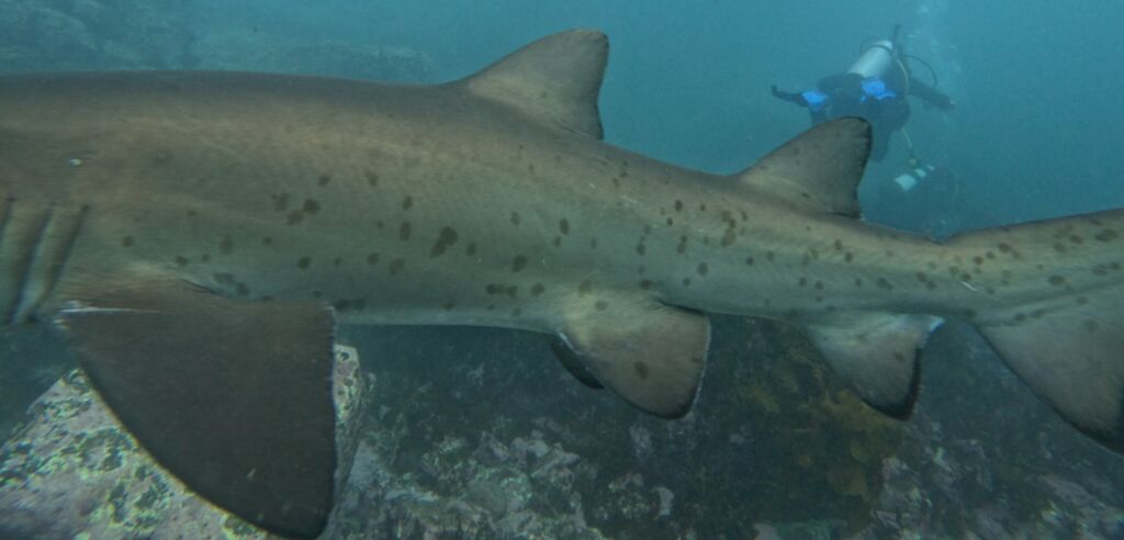 c89e8605-6eb1-4479-a16d-7058a49caa9f