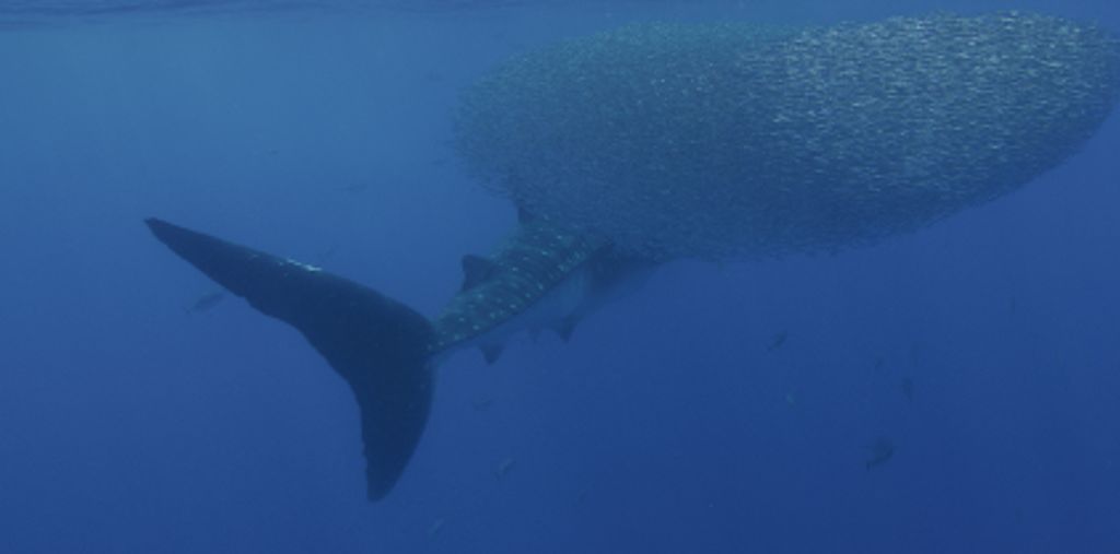 36f1d289-66c1-48ac-8bf2-59523aca0f4c