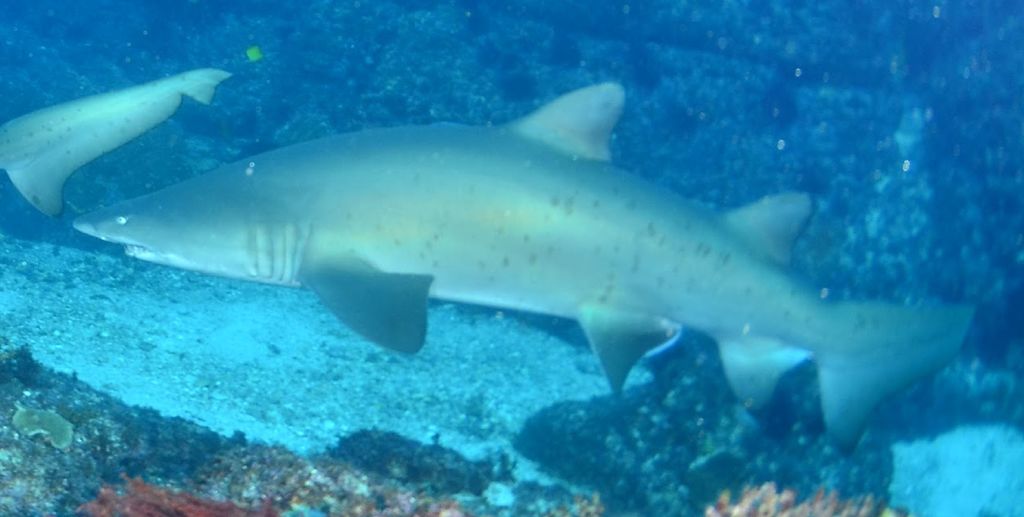 3dbe4add-252f-4d0f-8d44-9aef5e53ef69