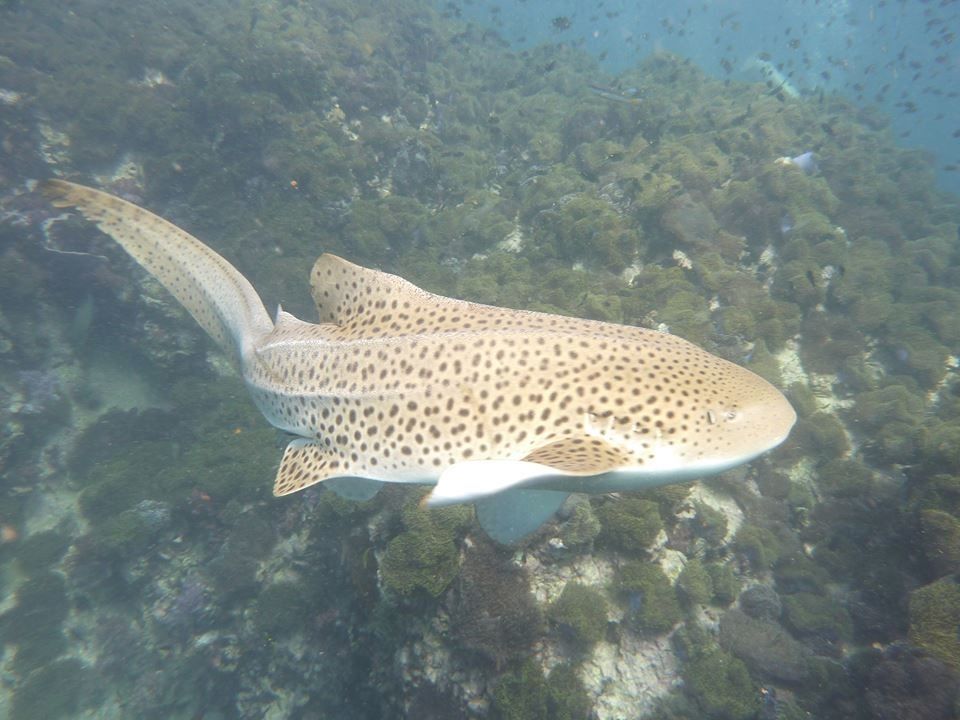 acc18bd4-16eb-4b1a-aef1-ab98273f8a65