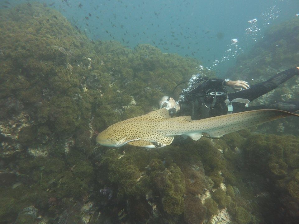 acc18bd4-16eb-4b1a-aef1-ab98273f8a65