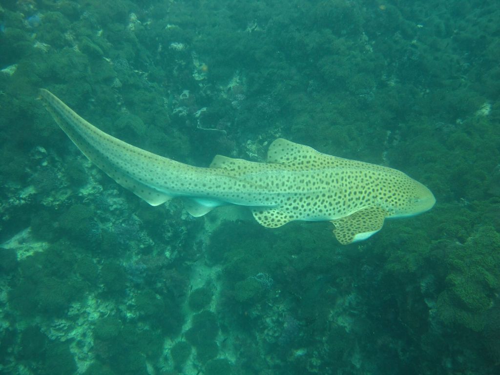 acc18bd4-16eb-4b1a-aef1-ab98273f8a65