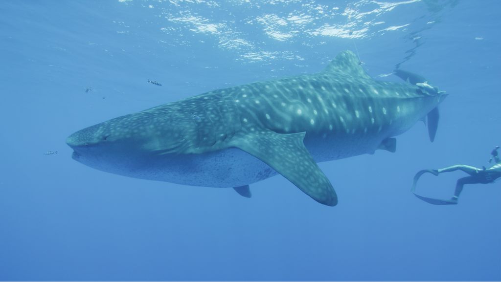 3326b39e-bd41-4e42-819a-2d9c180c2871