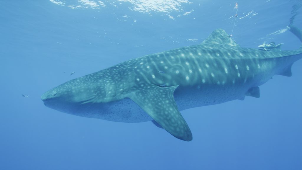 3326b39e-bd41-4e42-819a-2d9c180c2871