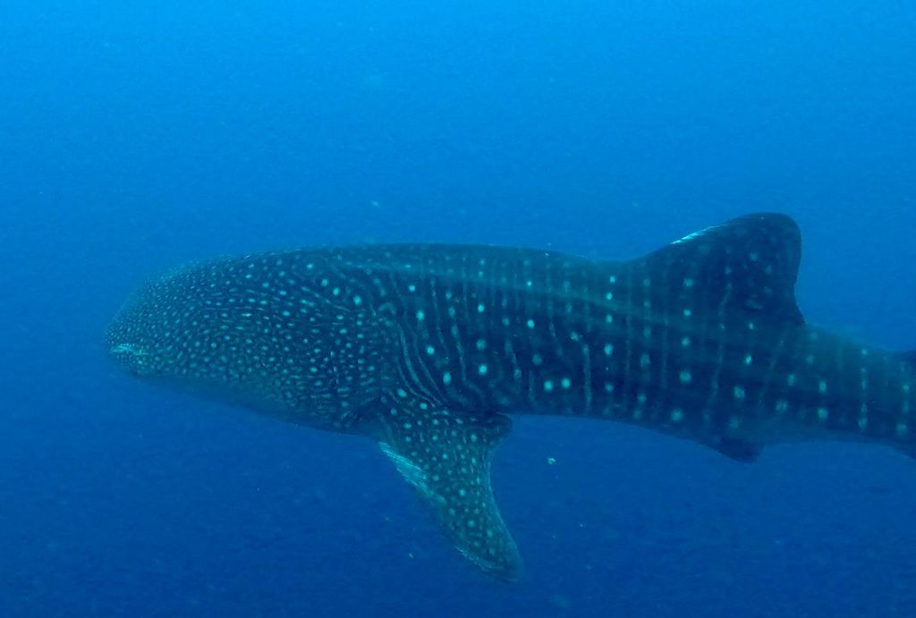 13a8311c-5da9-4e0c-86fa-3b04ad3bb5b3