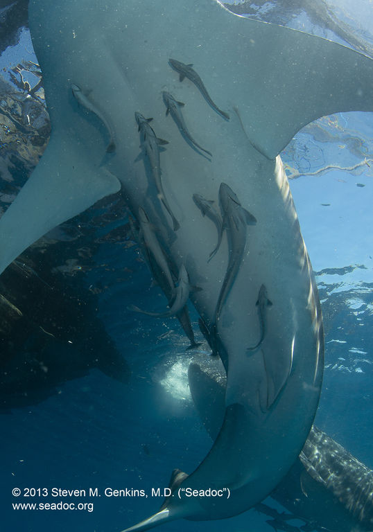 1d3d96a9-f677-4735-8ef8-c18ae35d4113