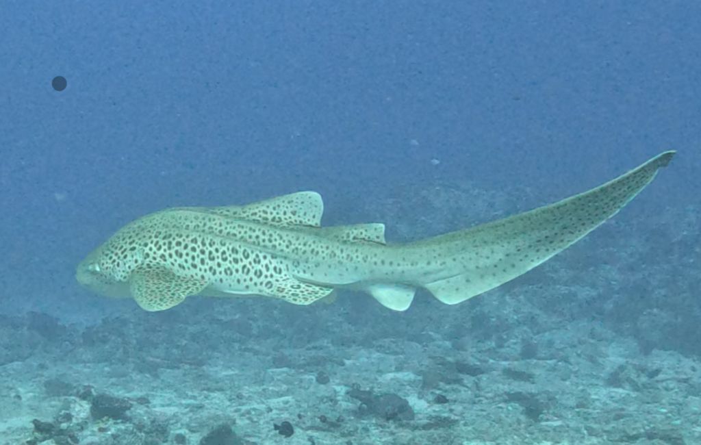 f019d730-e8b3-4040-965c-317fbd5d0860