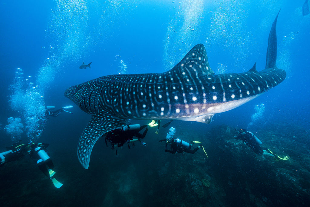 58948aa4-d392-48c9-a79d-32d2d676272d