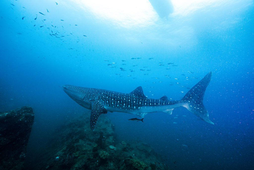 58948aa4-d392-48c9-a79d-32d2d676272d