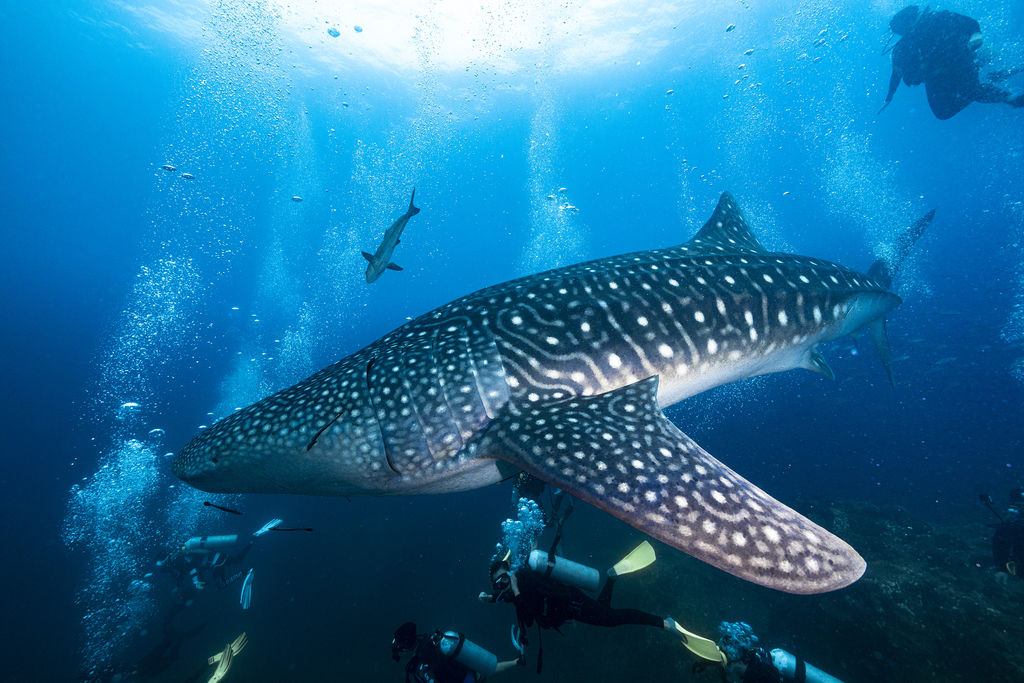 58948aa4-d392-48c9-a79d-32d2d676272d