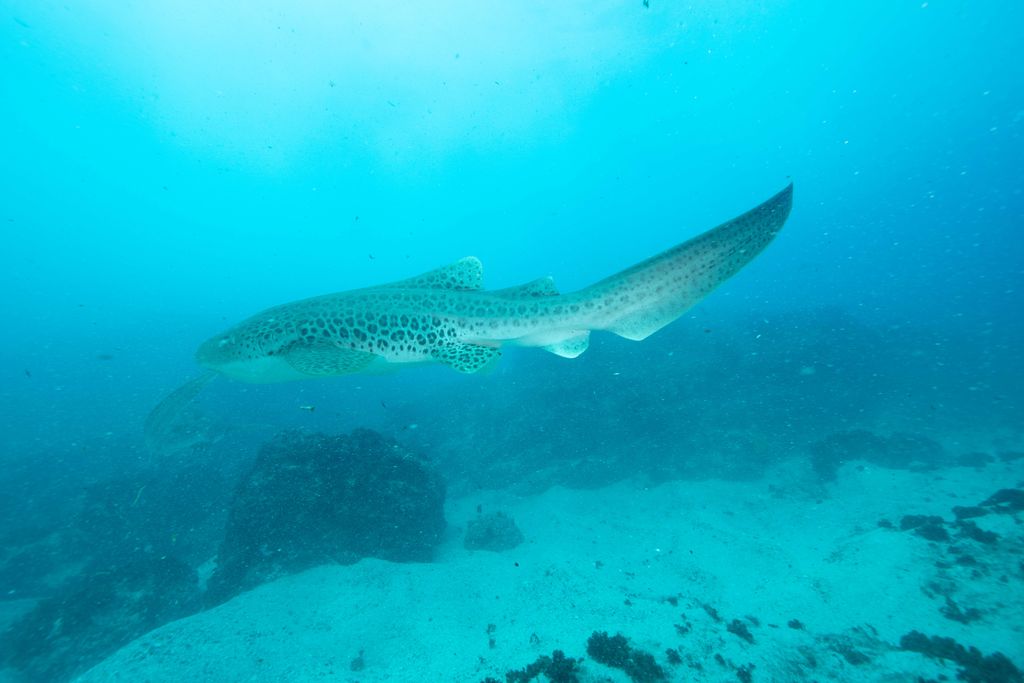 3af54e77-5319-4352-8e7d-d25c959ee0d3