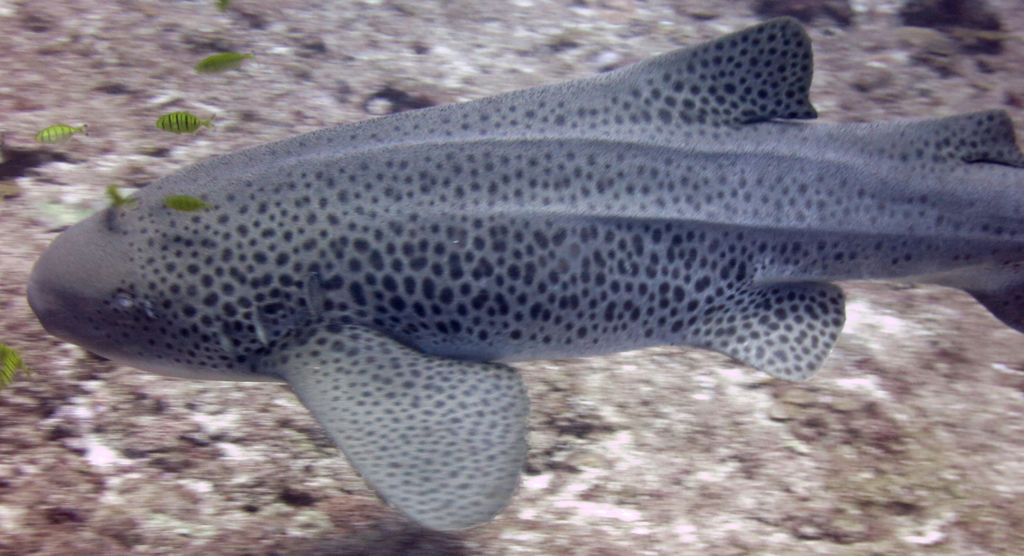 9720260f-7019-44d5-a1b6-8356feeb93c8