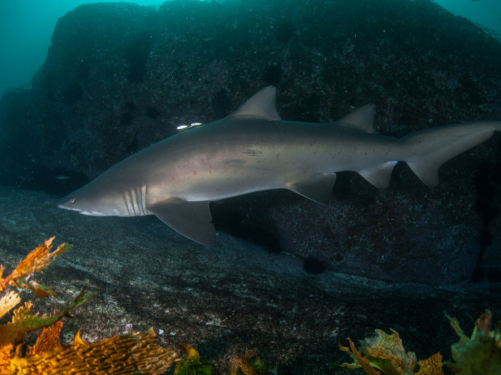 46d8eded-c0e8-4e67-8e0b-4a01c0ffa83d