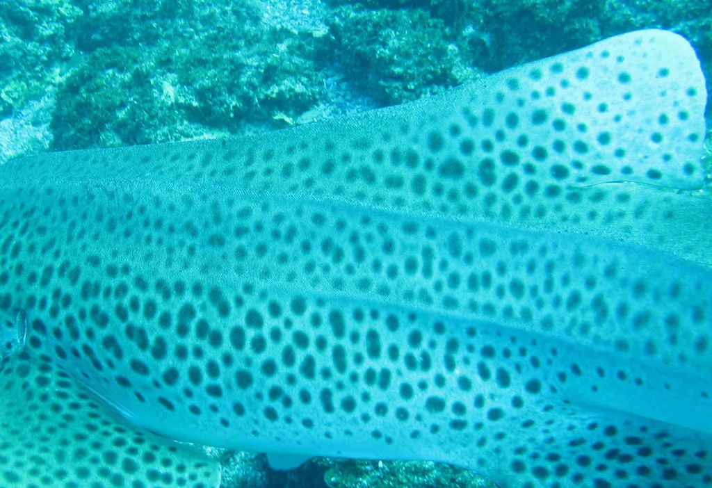 f70d6b17-b2e6-4a00-91fa-e89854e39cb4