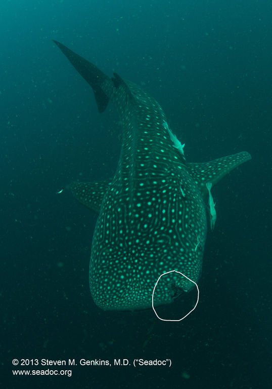 9011a1da-9e7e-43b9-a3ea-724cbcefb459