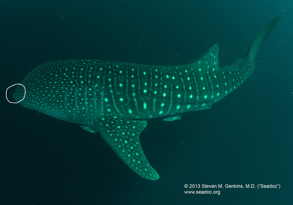 9011a1da-9e7e-43b9-a3ea-724cbcefb459