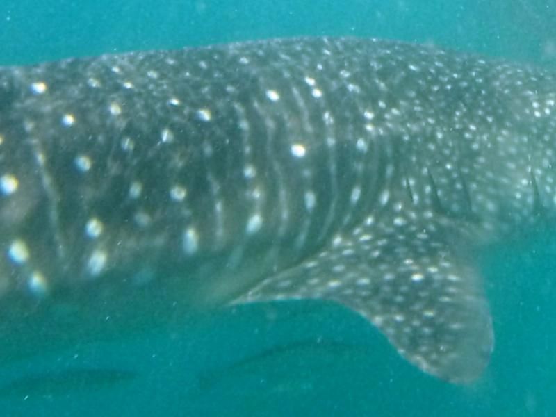 7fad0e35-4d8d-499b-9183-dca32d3ccc32