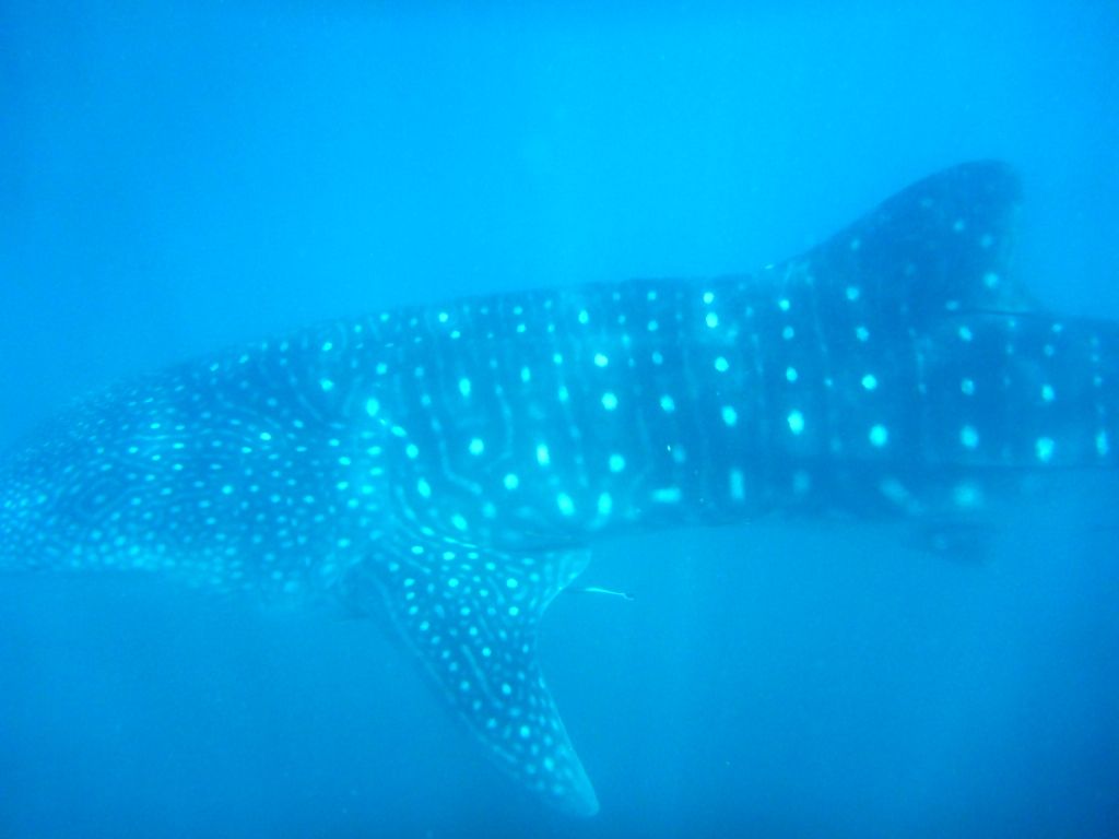 9bc3b650-f2f7-4102-afc5-cfc4480c65c6