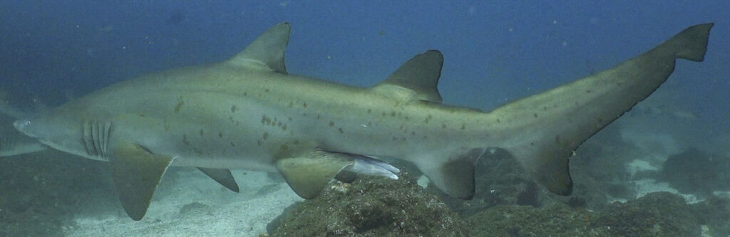 8f7f3927-d35c-45d7-ac73-e80901d02e1e