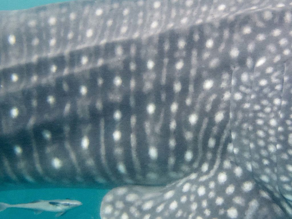 ce2f0732-9e31-4936-b6e9-16cbf7b5ffa4