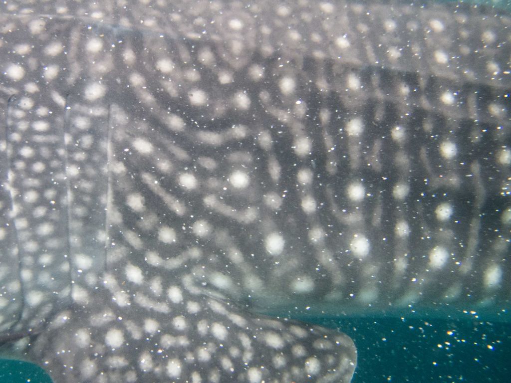 ce2f0732-9e31-4936-b6e9-16cbf7b5ffa4