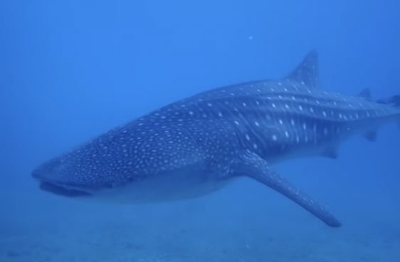 c65a3156-508a-4b3c-a59c-b9f4a2aed7e9