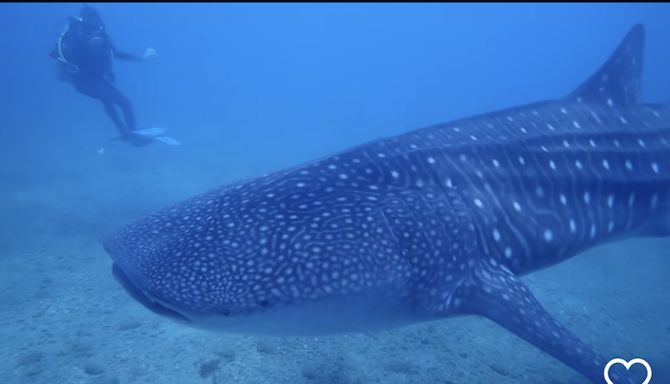 c65a3156-508a-4b3c-a59c-b9f4a2aed7e9