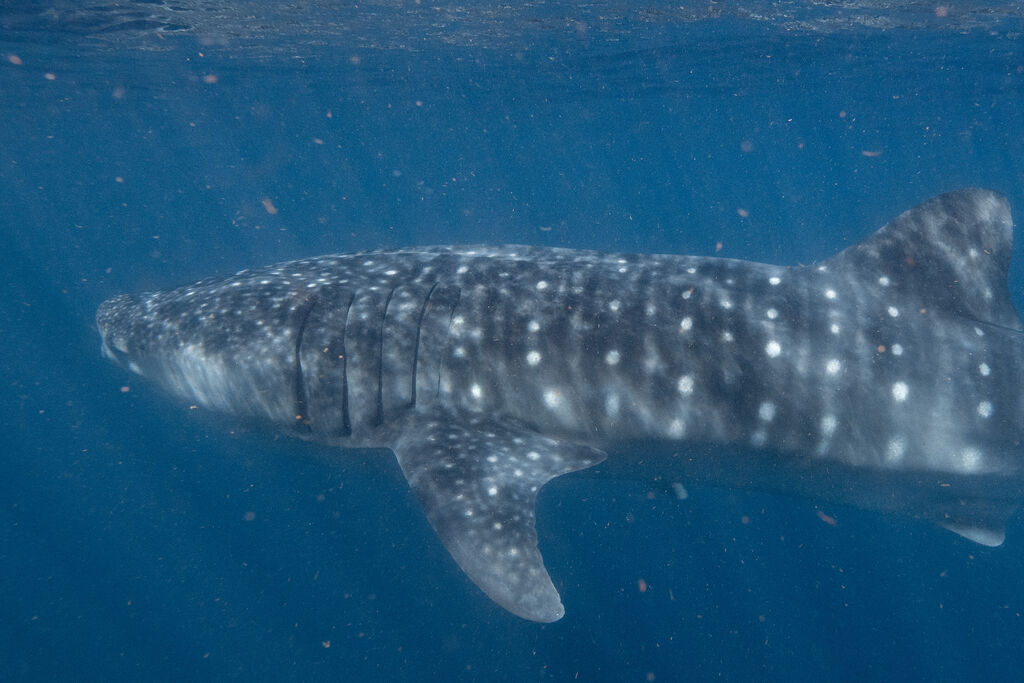 0a889622-8a62-4725-8f98-0fde59b4d76f