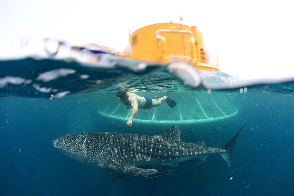 5491ccb4-89fc-47e2-a746-29f0ea8130ad