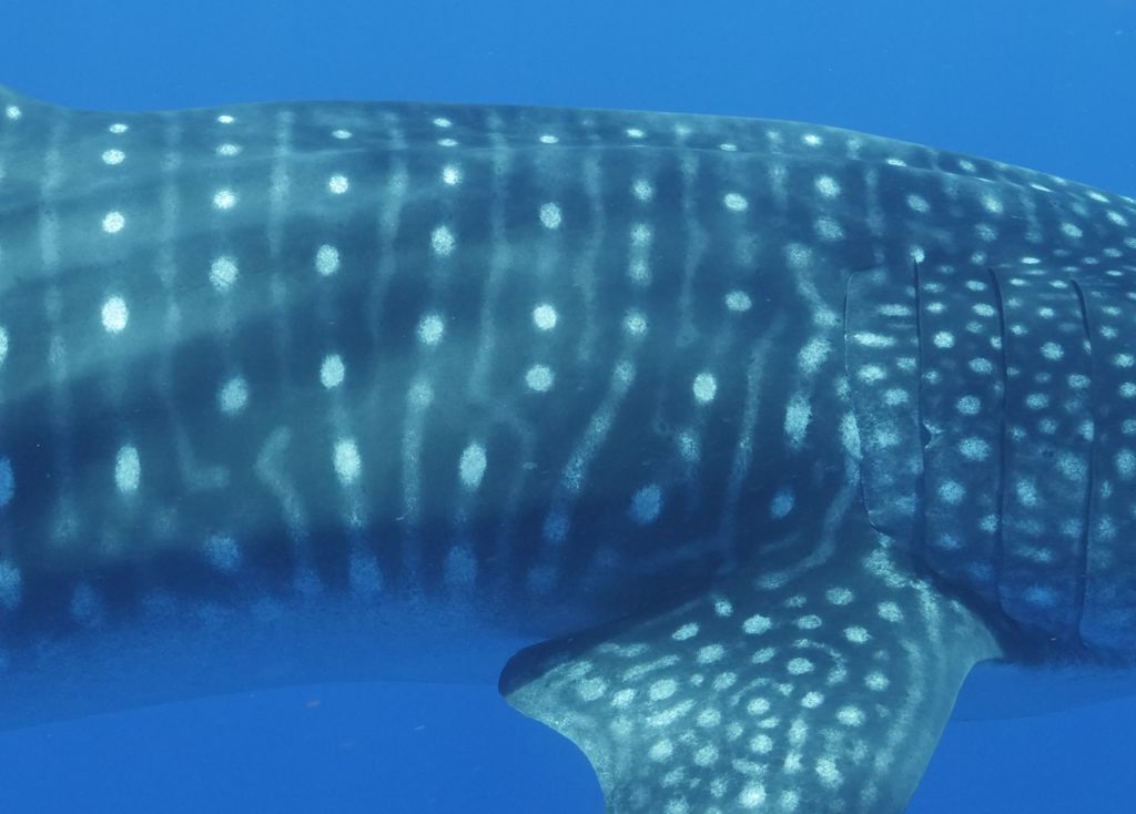 7344d7a0-8df7-4da5-a4eb-5da797e90b5b