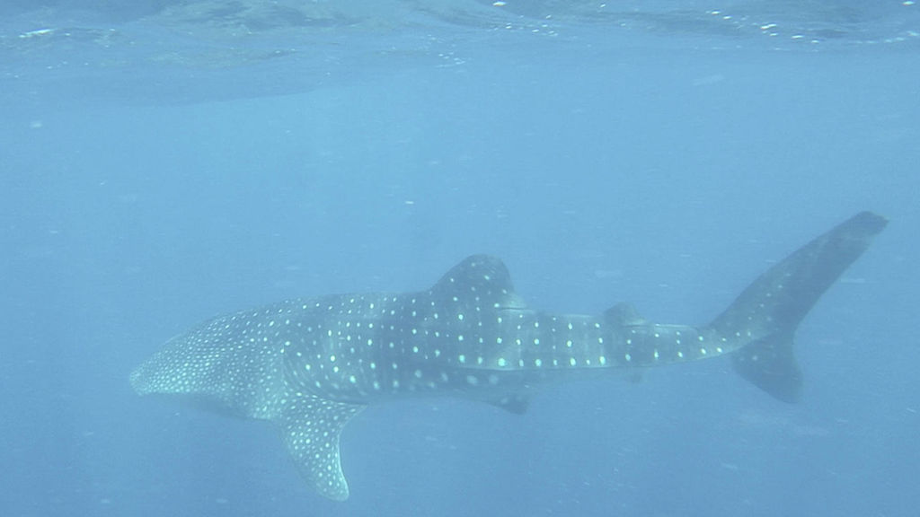 1171e1f9-051b-4dd1-ae8b-b2278b6a1f20