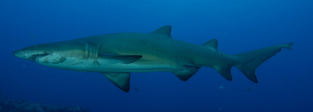 80b05c19-441f-4d1d-a7f3-204b160a0e8b